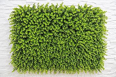 经典《TAITO精选集》复刻登陆Switch 收入10部名作